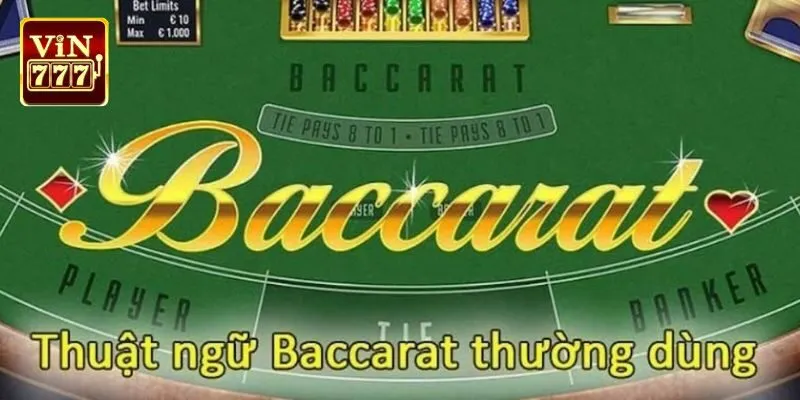 Lý do gì cần phải nắm thuật ngữ trong baccarat