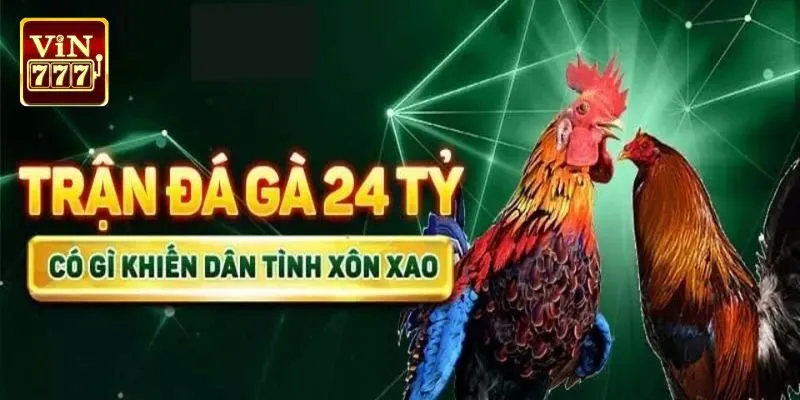 Trận gà 24 tỷ có trực tiếp thật hay không?